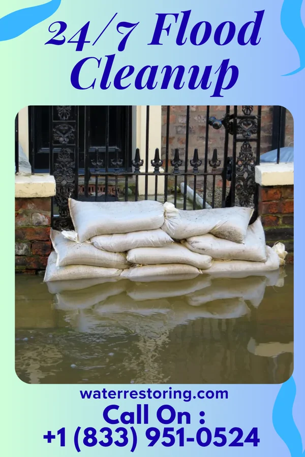 24/7 Flood Cleanup in Lane, SD
